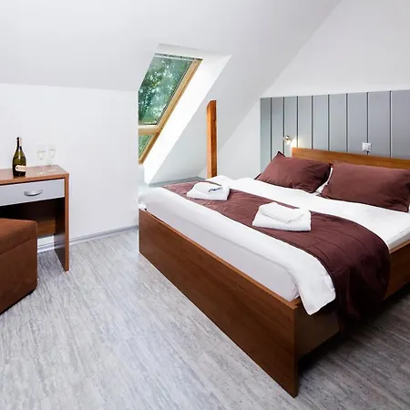 Pensjonat Alzbeta Resort - Aqua & Wellness Liptowski Mikułasz